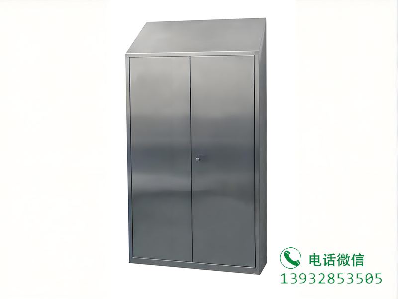 德州斜顶双门衣柜